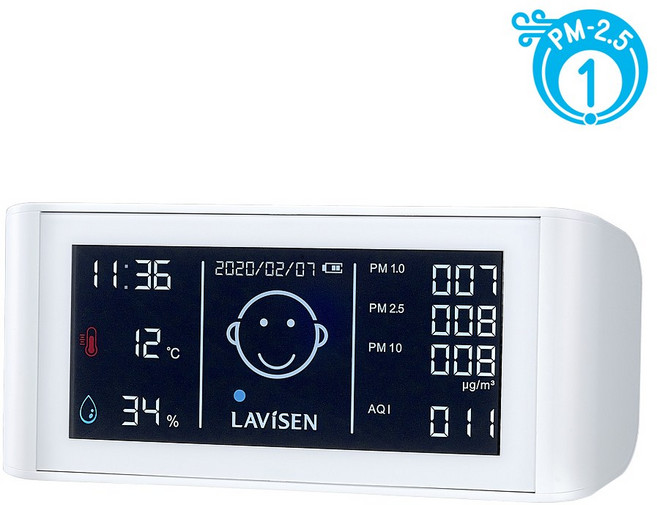 라비센(LAVISEN) 미세먼지 측정기 LAVI-502, 옵션선택