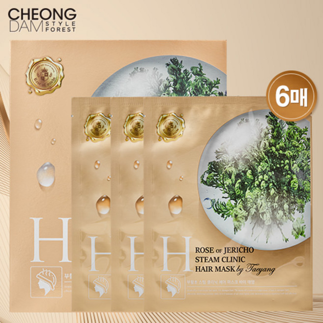 청담스타일 포레스트 부활초 스팀클리닉 헤어팩 2박스 (6매), 6개, 40g