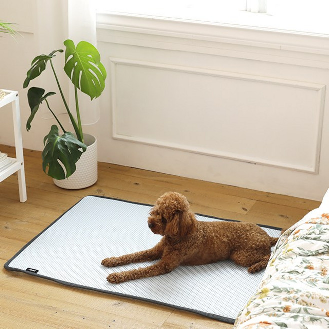 에어텍스 강아지 쿨매트 쿨방석 애견 여름매트 쿨패드, 3D 애견 쿨매트_L(70x100cm)