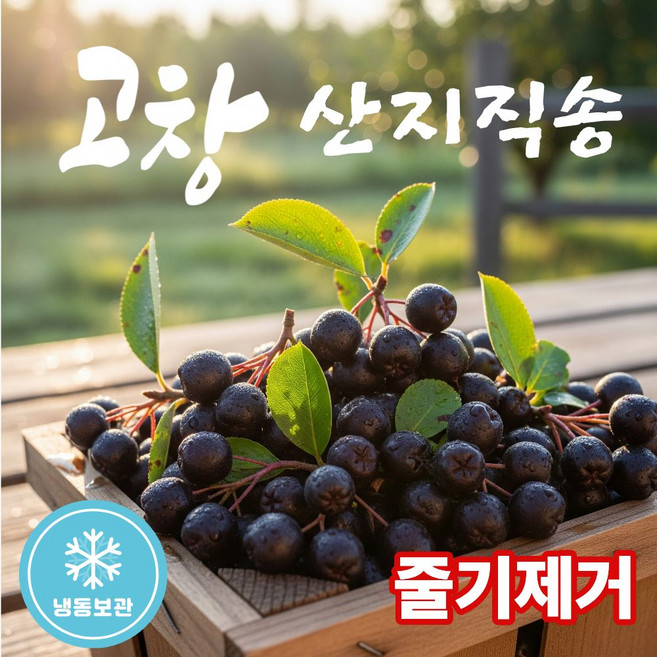 더맛곳간 국내산 고창 생 아로니아 국산 생과 시즌 종료 시 냉동 발송, 1개, 10kg 특품
