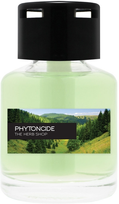 더허브샵 섬유심지 차량용 방향제, 피톤치드, 1개