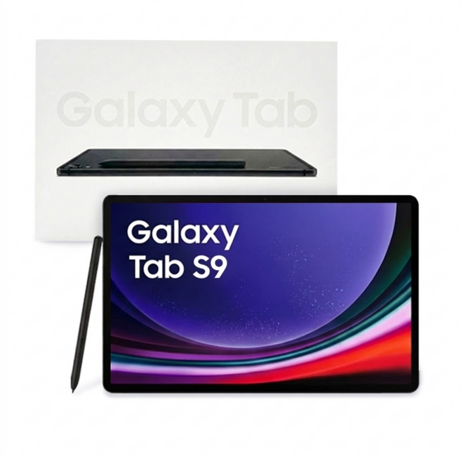 삼성 갤럭시탭S9 WIFI 128G + S펜 포함, 그레이
