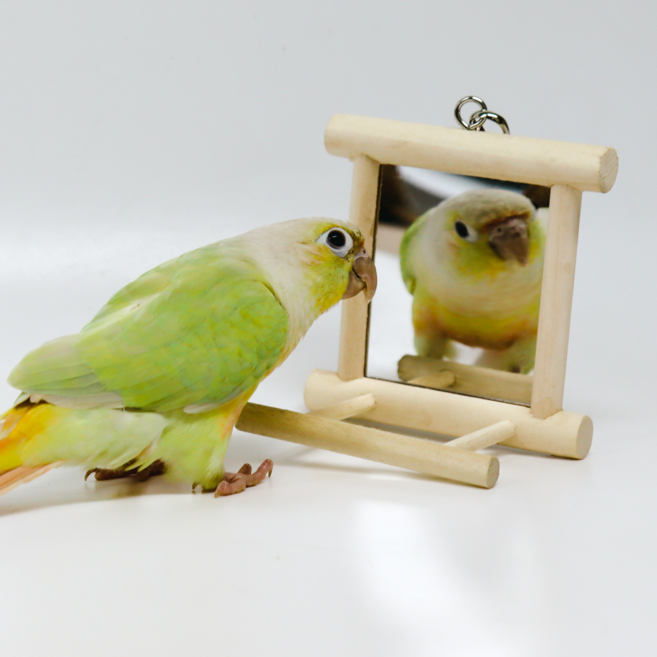 앵무새 장난감 나무 거울 그네 / 새 앵무새 용품 장난감 용품, 1개