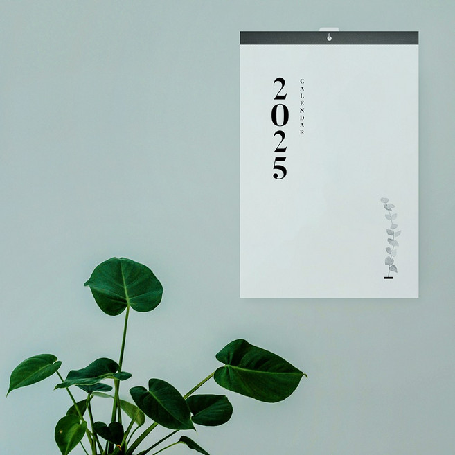 보아스넷 2024 2025 벽걸이 달력 대형 캘린더 감성 인테리어 메모 디자인, 310x460(기본), 1개, 2025 기본