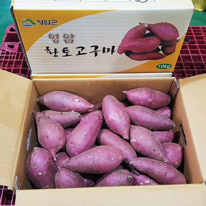 최고구마 영암황종복 연지꿀고구마, 1개, 10kg(특상)