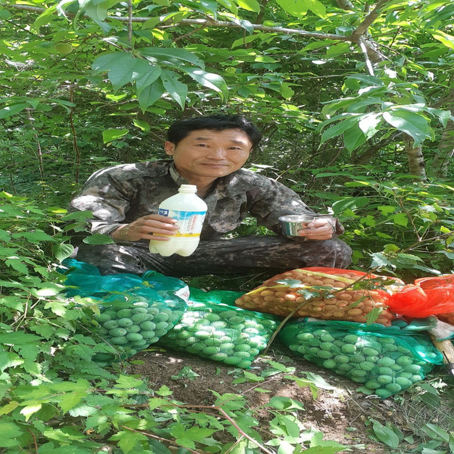 야생자연산100%개복숭아진액(110ml), 60개, 110ml