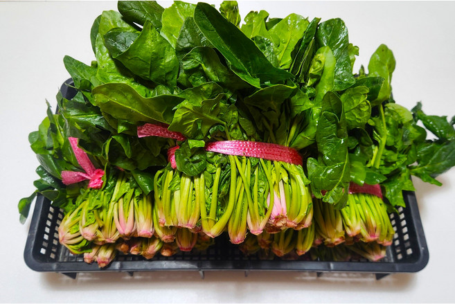 국내산 포항초 노지 시금치 단시금치, 2단(1600g 내외), 1.6kg