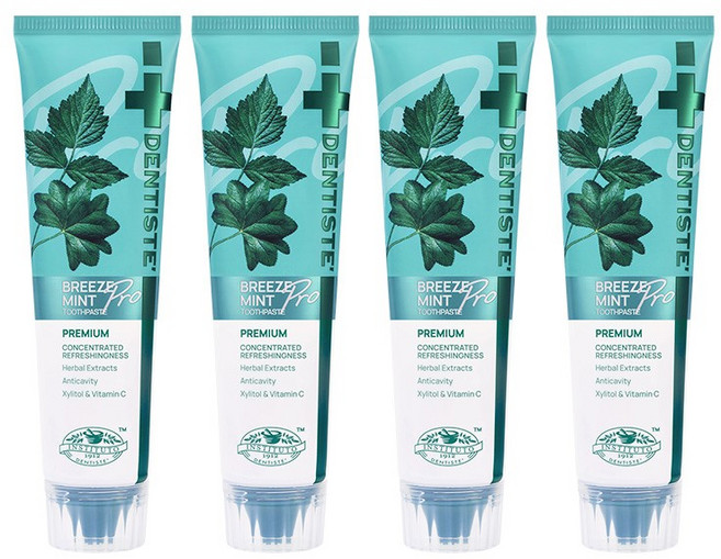 [공식몰] 덴티스테 브리즈민트 프로 여행용 치약 60g, 4개