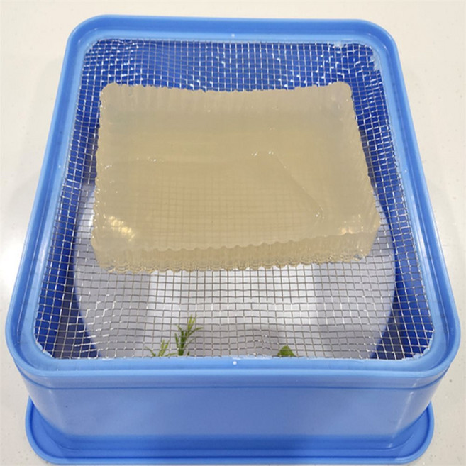 모여라 사각 묵채 도토리묵채, 사각우무가사리채