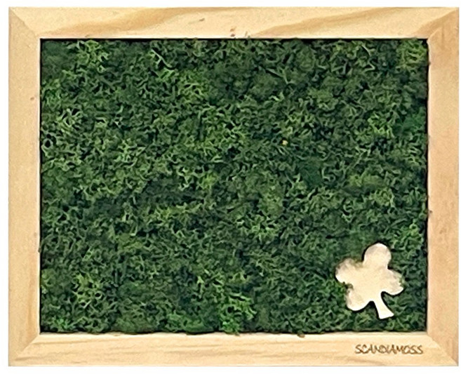 (주)집현전 스칸디아모스 액자 A형(230*180) 단색 심플, 모스그린 클로버