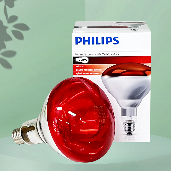 필립스 적외선램프 조사기 전용 전구 250W 대경 적외선 부품 통증완화, 1개