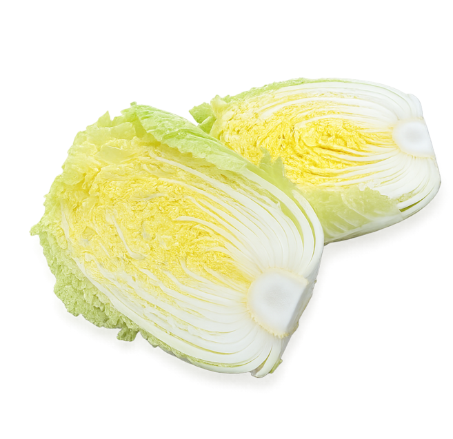 신선 수입 배추 15kg 식자재 업소용 대용량 수입전문업체 유어컨 김장시즌 행사, 1박스