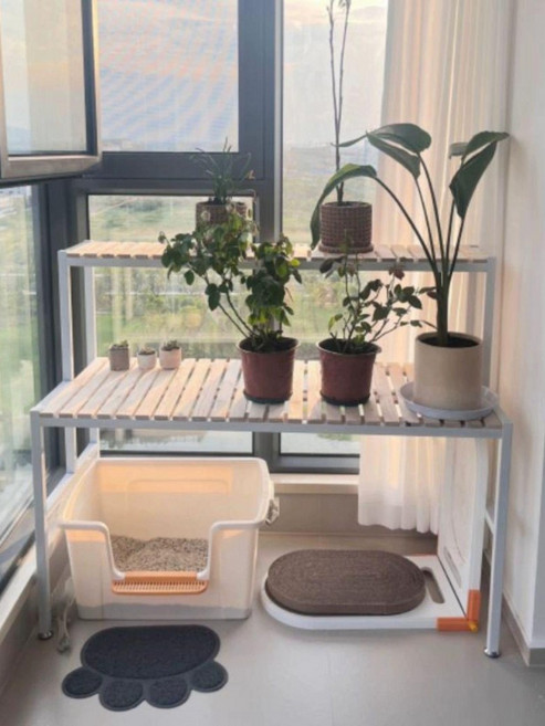 캣타워 원목 선반형 책장 고양이 가구