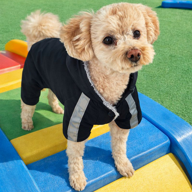 댕로드 강아지 겨울 패딩 올인원 애견의류, 1개, 블랙
