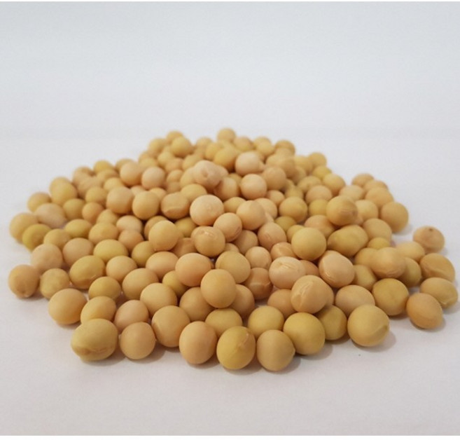 국산 두부콩(백태) 500g 두부 만들기, 1개
