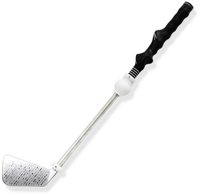 골프 헤드형 스윙연습기 골프스틱 자세교정 비거리향상 골프연습, 1개