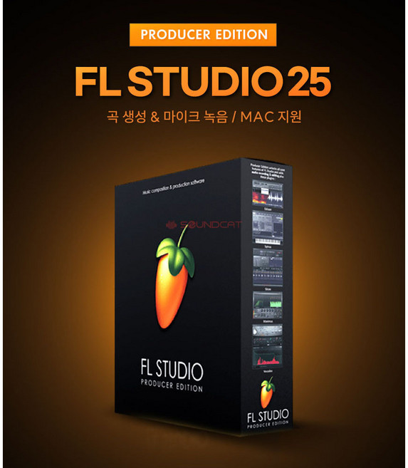 FL STUDIO 2025 Producer Edition DAW 소프트웨어 / 전자배송