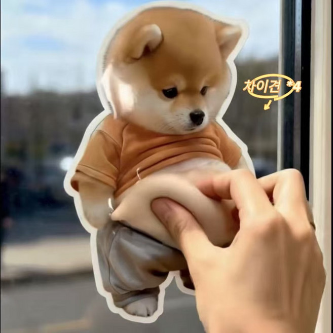 2in1충돌방지쿠션 스티커/말랑쫀득 스퀴시 말랑이장난감 에어 젤리볼 스트레스해소 슬라임 주물럭 스트레스 해소 장난감4p(부드러운 강아지의 뚱뚱한 배), 4개, 20g, 4pcs, 시바견