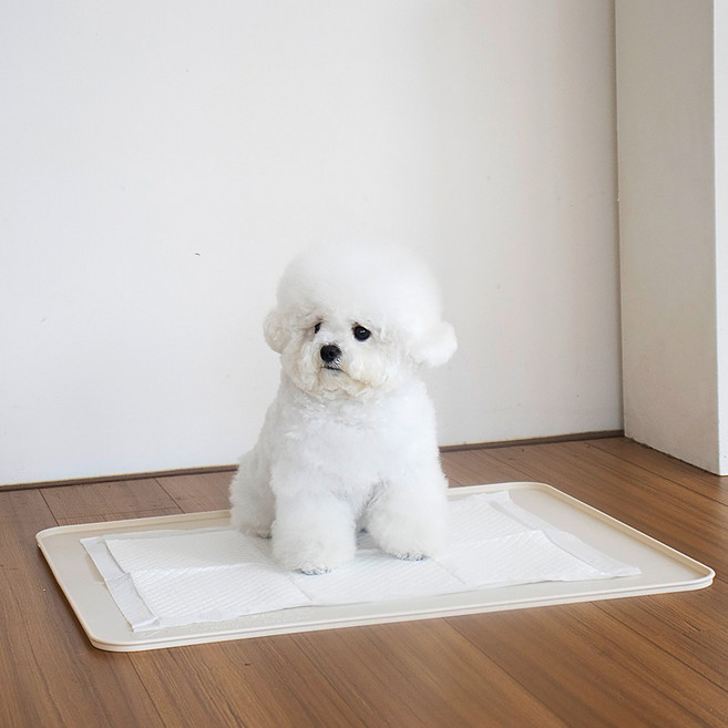 [플리다스] 착붙 실리콘 배변매트 논슬립 강아지 배변판 베이지 표준형, 1개