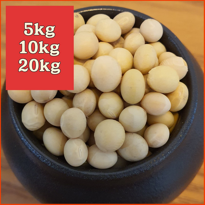 국산 메주콩 백태 5키로 10키로 20키로 2025년 햇곡 콩 백태콩 노란콩 노랑콩 흰콩 하얀콩 콩나물콩 대두 _ 건강한 곡물은 나를 위한 최고의 투자입니다, 1개, 10kg