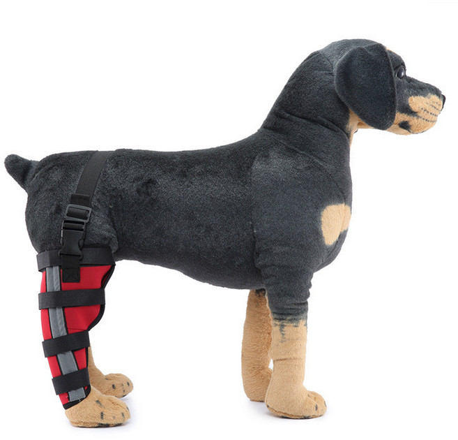 狗狗術後輔助後腿護膝，行走支撐固定, HJ38紅色右後腿（加支撐條加反光,L, 1個