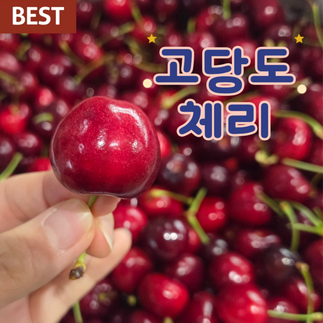 토해원 프리미엄 고당도 미국산 체리, 1개, 1kg