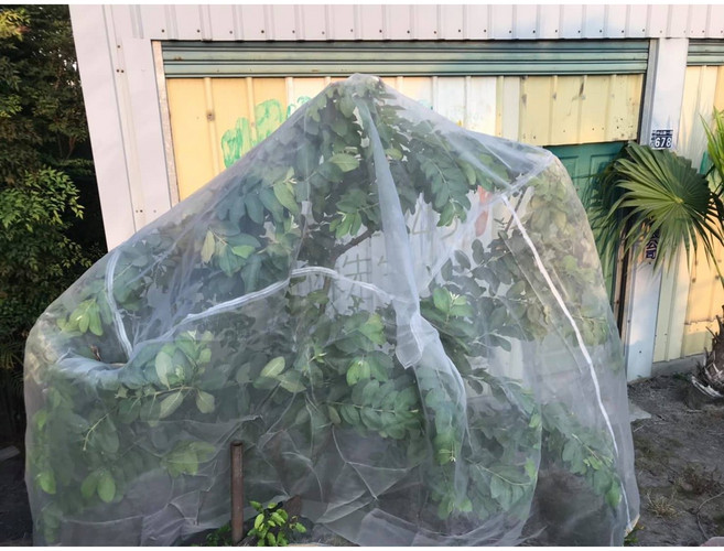 萬美美植袋工廠直營 蔬菜果樹防蟲網 園藝資材, 1個