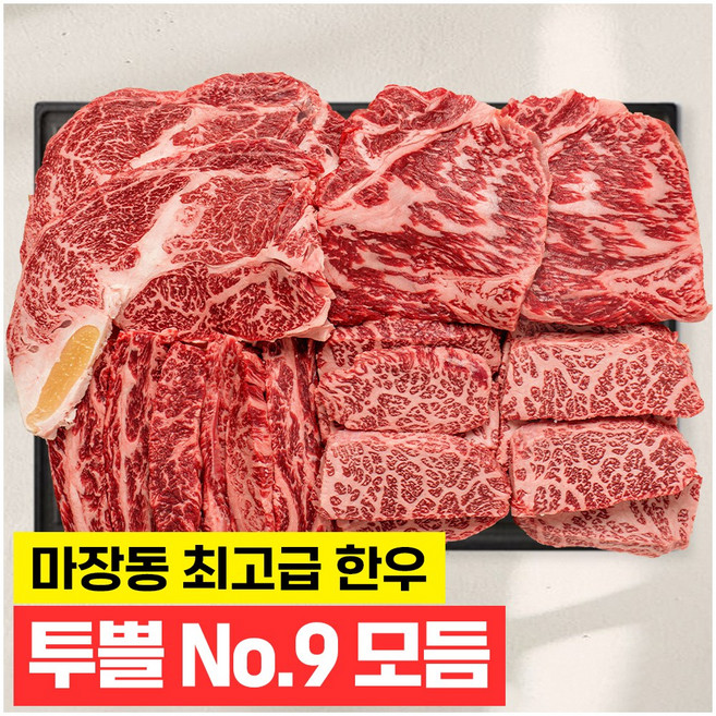 푸드지 마장동 최고급 한우 1++ 투뿔 모듬세트, 1.2kg, 1개