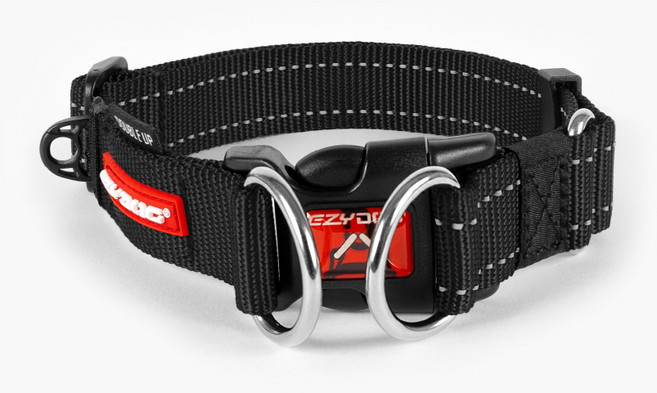 이지독 더블업 강아지 목줄, 블랙, 1개