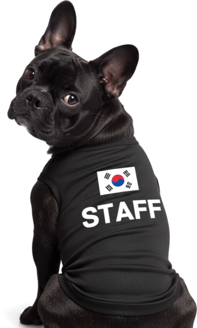 카라몰리 강아지 티셔츠 유니폼 반려동물 메쉬 쿨티, 블랙, 1개