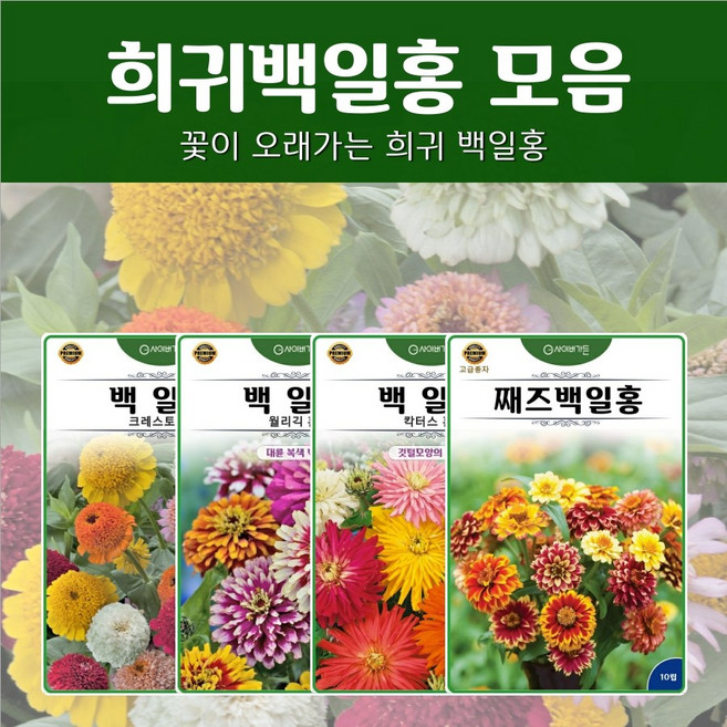 씨앗] 희귀백일홍 4종 모둠 1Set
