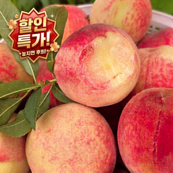 3위 - [인기상품] 특급선별 아삭달콤 맛잘알딱복 대극천복숭아, 1박스, 1kg [중과]