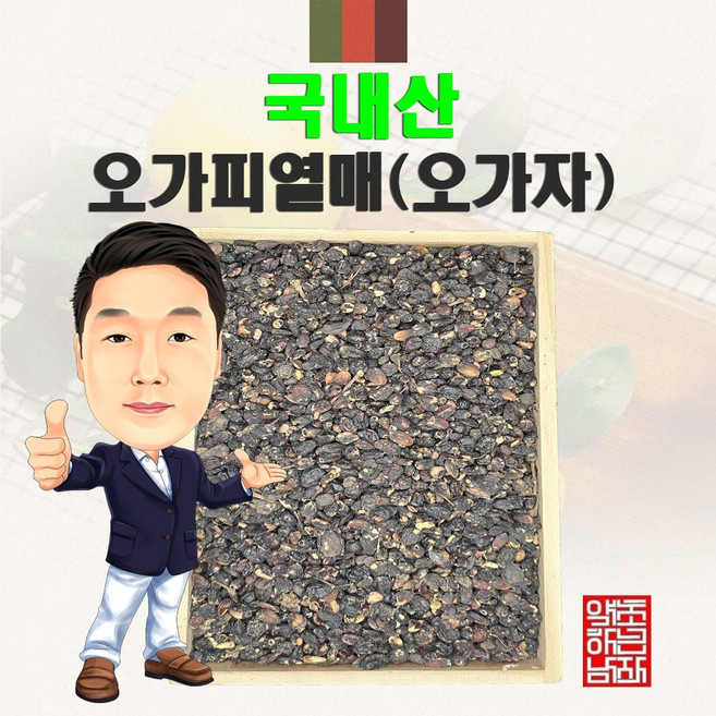 국내산 오가피열매(오가자) 100g ( 경북 영천) 국산, 1개