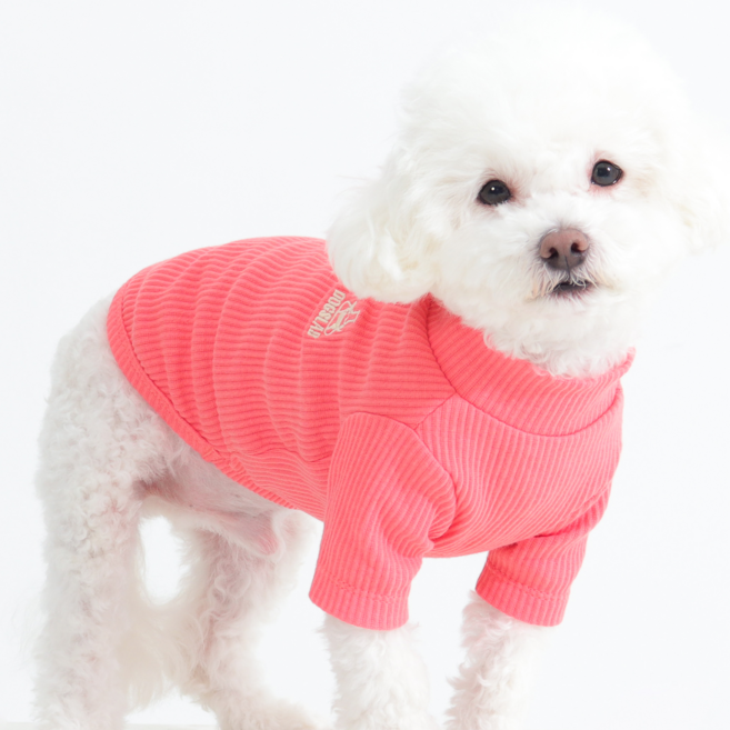 독스랩 강아지 옷 폴라티 골지 티셔츠 겨울옷 실내복, 1개, 코랄