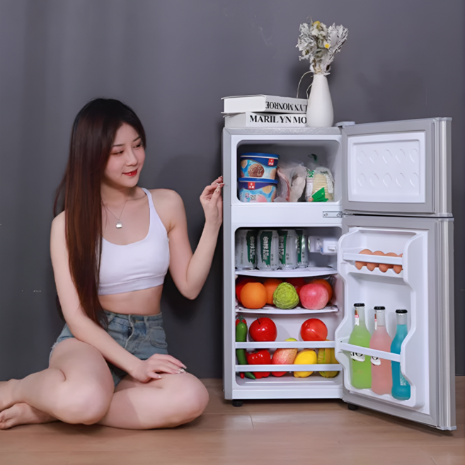 레드레몬 가정용 소형 냉장고 2도어 1등급, 58L-58S138