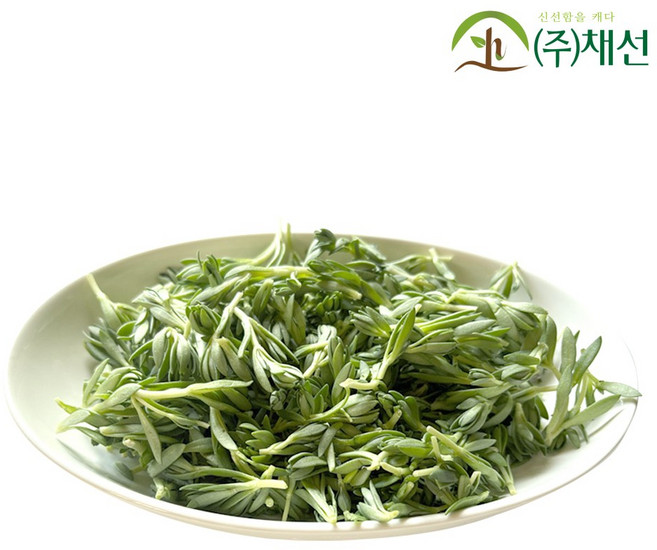 국내산 돌나물 돈 돗 봄나물 제철나물, 1개, 200g