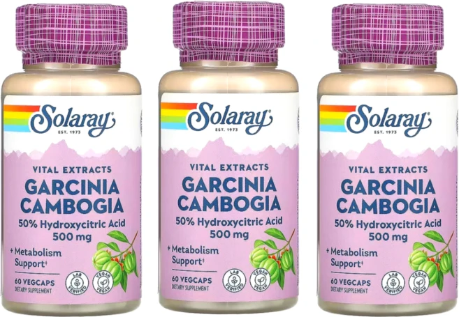 솔라레이 가르시니아 캄보지아 열매 추출물 500mg 베지캡슐 60정 3개세트, 3개 - 쿠팡