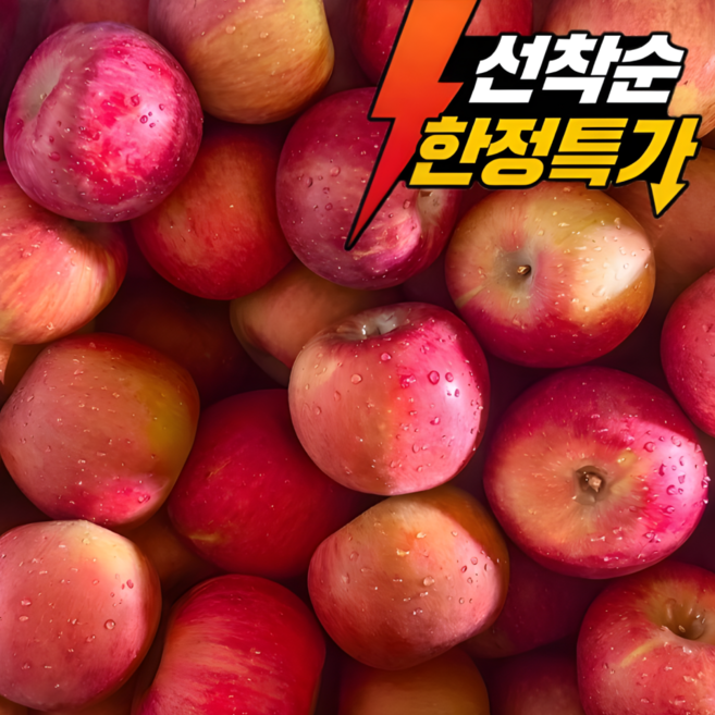 [선착순100박스한정] 초특가 당도선별 고당도 부사사과, 1박스, 5kg