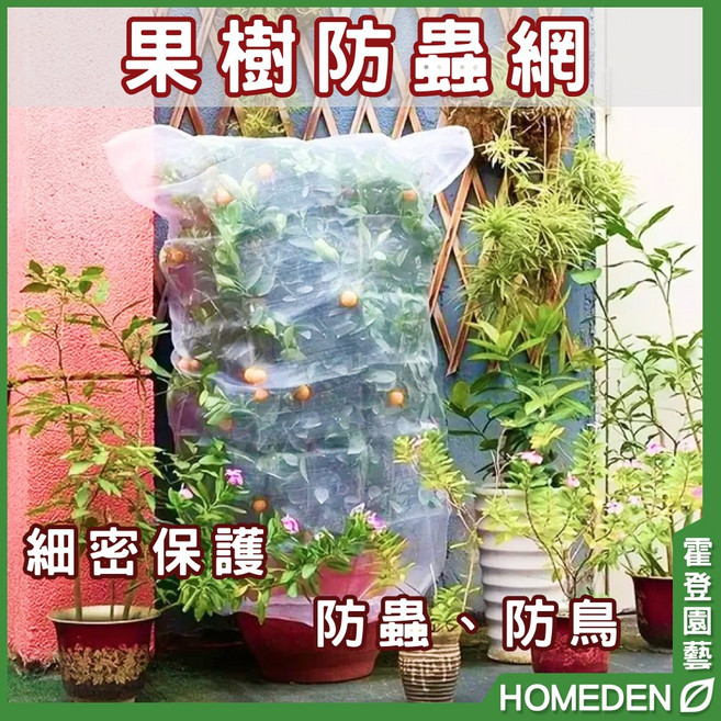果樹防蟲網 細密保護 防蟲 防鳥, 長75×寬50cm