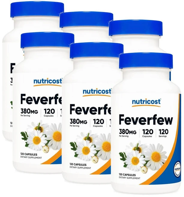 뉴트리코스트 피버퓨 작은쑥국화 추출물 380mg 캡슐 Nutricost Feverfew, 120정, 6개 - 쿠팡