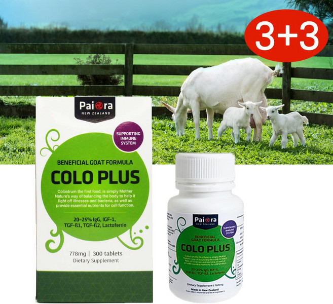 뉴질랜드 초유 산양유 단백질 파이오라 콜로플러스 300정 2통 Newzealand PaiOra chewable ColoPlus Milk, 3개, 320정