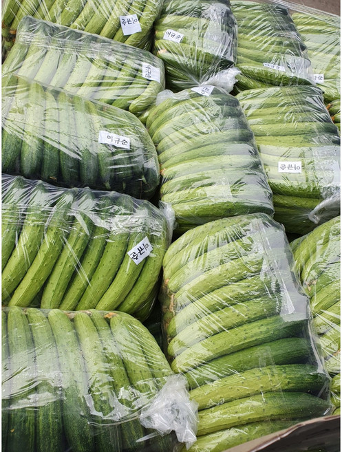 아작아작 꼬들꼬들 쫄깃쫄깃 백다다기 오이지 오이 50개 내외, 1개