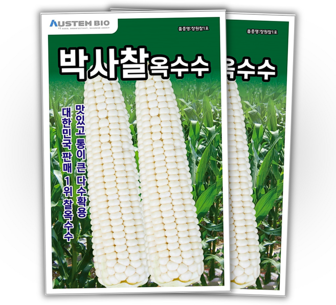 주주씨앗 백찰옥수수 씨앗 150립 박사찰옥수수 씨앗 다수확 통큰 옥수수, 2개