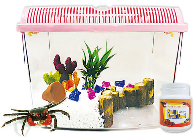 스마일크랩 코랄산호 사육세트, 1세트, 블루