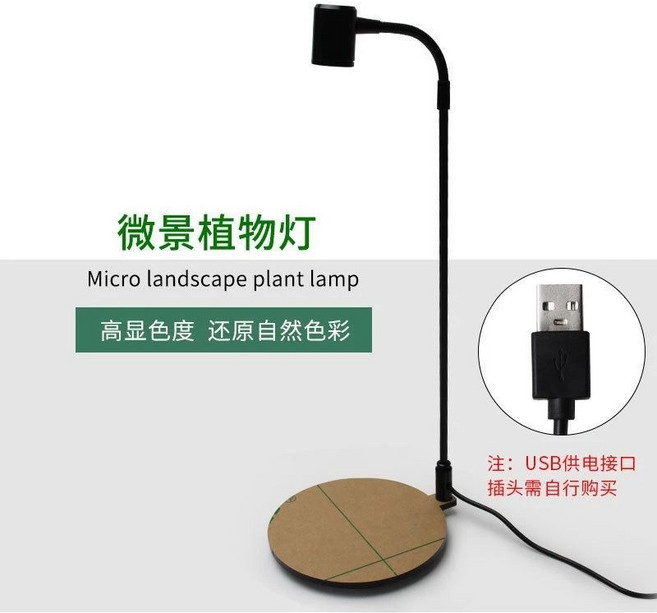 苔蘚生態瓶 玻璃景觀瓶 桌面擺件, 3W全光譜植物燈普通開關, 1個