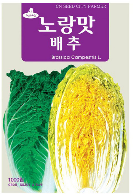 노랑맛 배추씨앗 배추씨 1000립, 1개