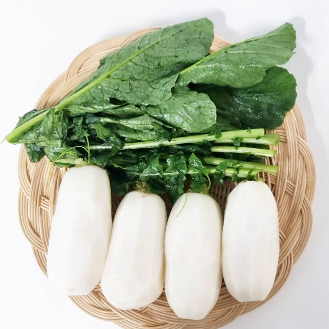 농장 직송 산지 국산 천일염으로 절인 아삭한 절임 총각무 초롱무 알타리, 1개, 10kg