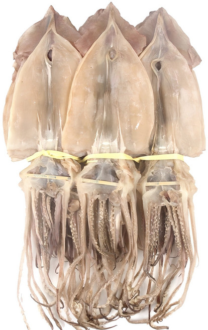 더줌 마른 오징어 자연 건조 동해 해풍 마른오징어 20미(1.3kg) 10미(650g) 5미(330g), 1개