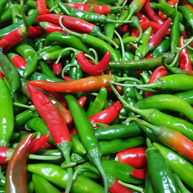 올푸름상회 국내산 청양혼합 반홍청양고추 상 500g 1kg 2kg, 1개