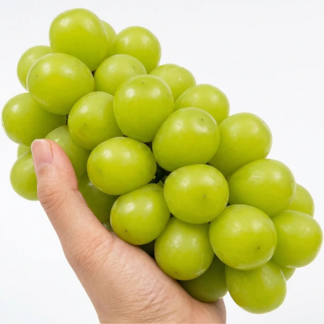 [한정판매] 초고당도 씨없는 포도 샤인머스켓, 1개, 1kg